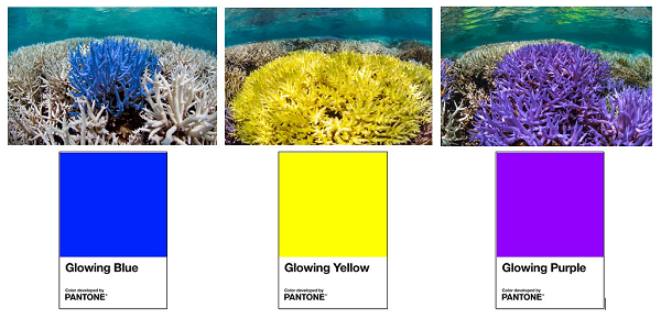 pantone-glowing600290_2.png?v=